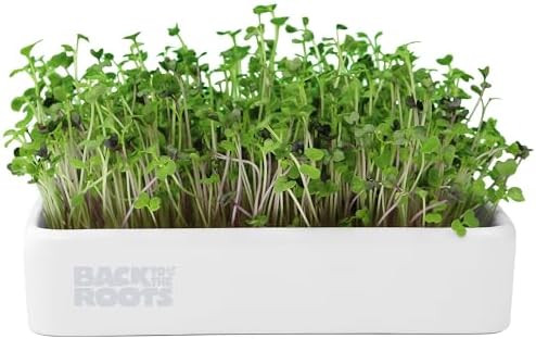 Back to the Roots Organic Microgreens Grow Kit with Ceramic Planter