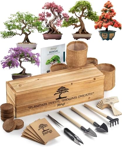AVERGO Bonsai Tree Kit – 5X Unique Bonzai Trees | Complete Indoor Bonsai Starter Kit for Growing Bonsai Plants with Tools & Planters – Gardening Gifts for Women & Men