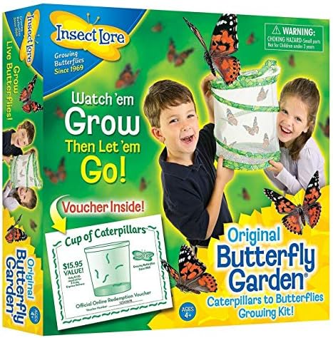 Painted Lady Butterfly Kit – Habitat, STEM Journal, & Voucher for Chrysalis Log & Caterpillars – Grow Your Own Butterfly Kit