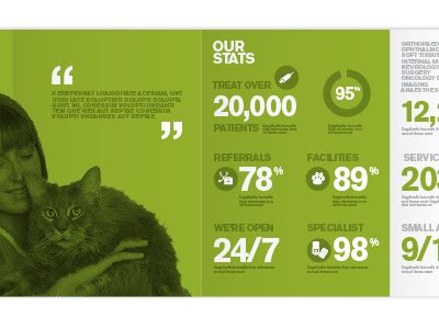 Layout development brochure / infographics (Vet practice)